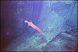 d-013_13.jpg