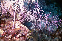 d-021_21.jpg