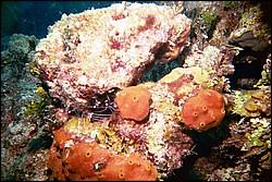 d-025_25.jpg
