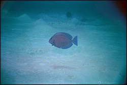 d-030_30.jpg
