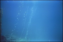 d-034_34.jpg
