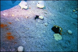 d-035_35.jpg