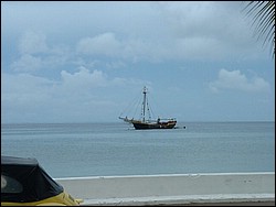 zzzDSCF0139.JPG