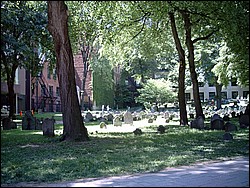 SIMG0004.JPG