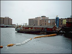 SIMG0055.JPG