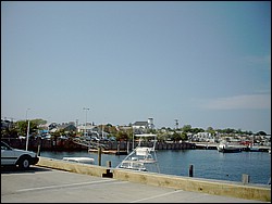 SIMG0070.JPG