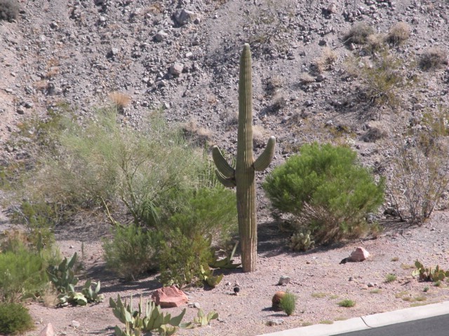 Image010.jpg