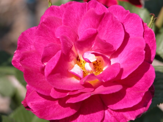 DSCN0047.JPG