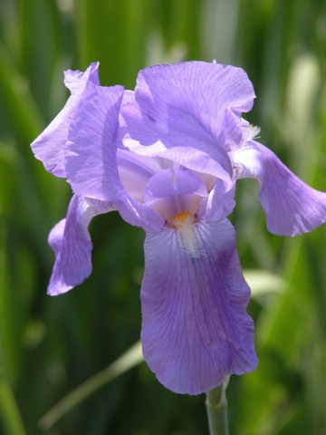 DSCN0055.JPG