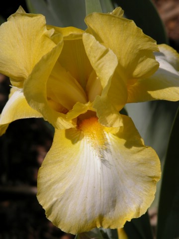 DSCN0056.JPG