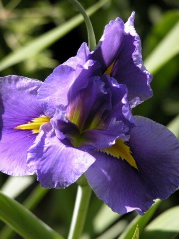 DSCN0064.JPG