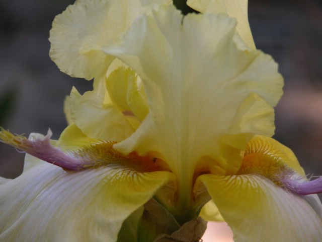 DSCN0070.JPG