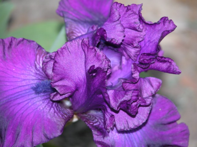 DSCN0075.JPG