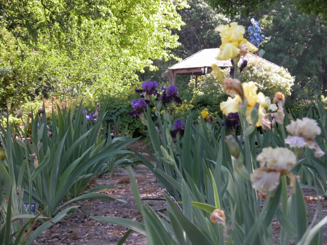DSCN0077.JPG