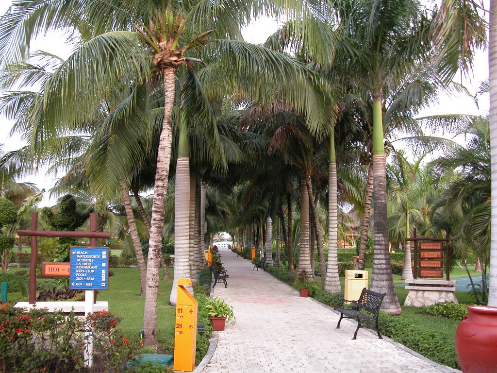 DSCN0152.JPG