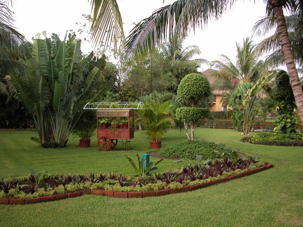 DSCN0153.JPG