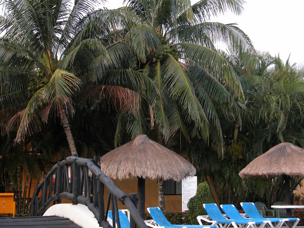 DSCN0155.JPG