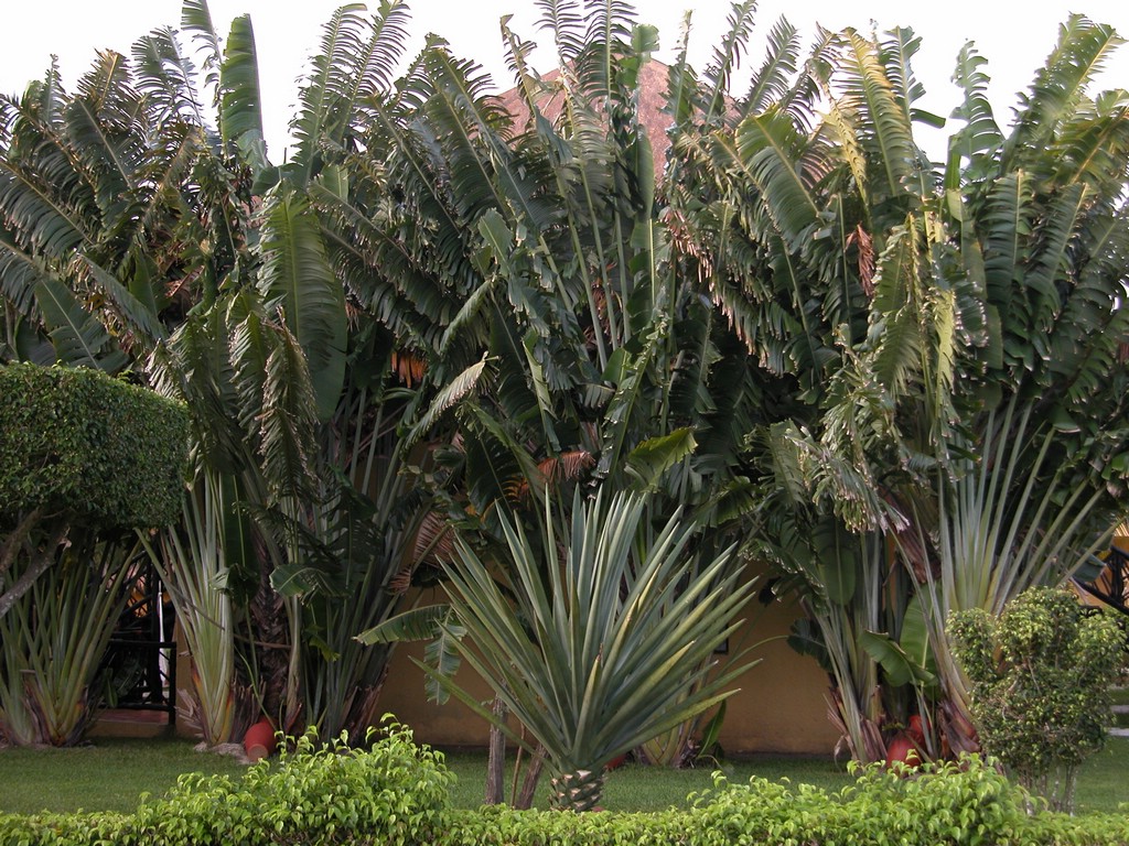 DSCN0163.JPG