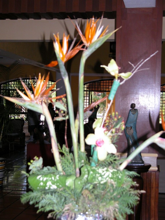 DSCN0271.JPG