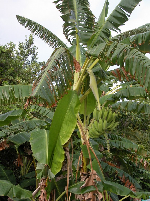 DSCN0274.JPG