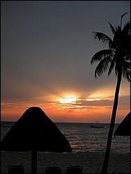 DSCN0131.JPG