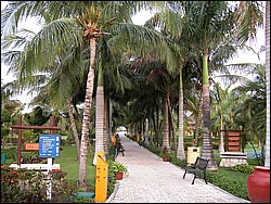 DSCN0152.JPG