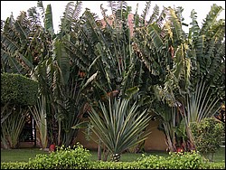 DSCN0163.JPG