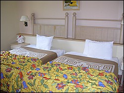 DSCN0184.JPG