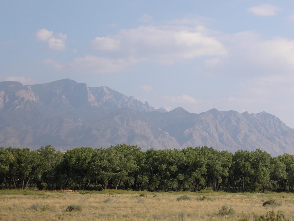 DSCN0437.JPG