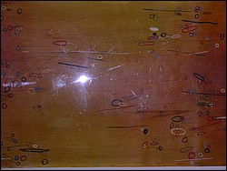 DSCN0375.JPG