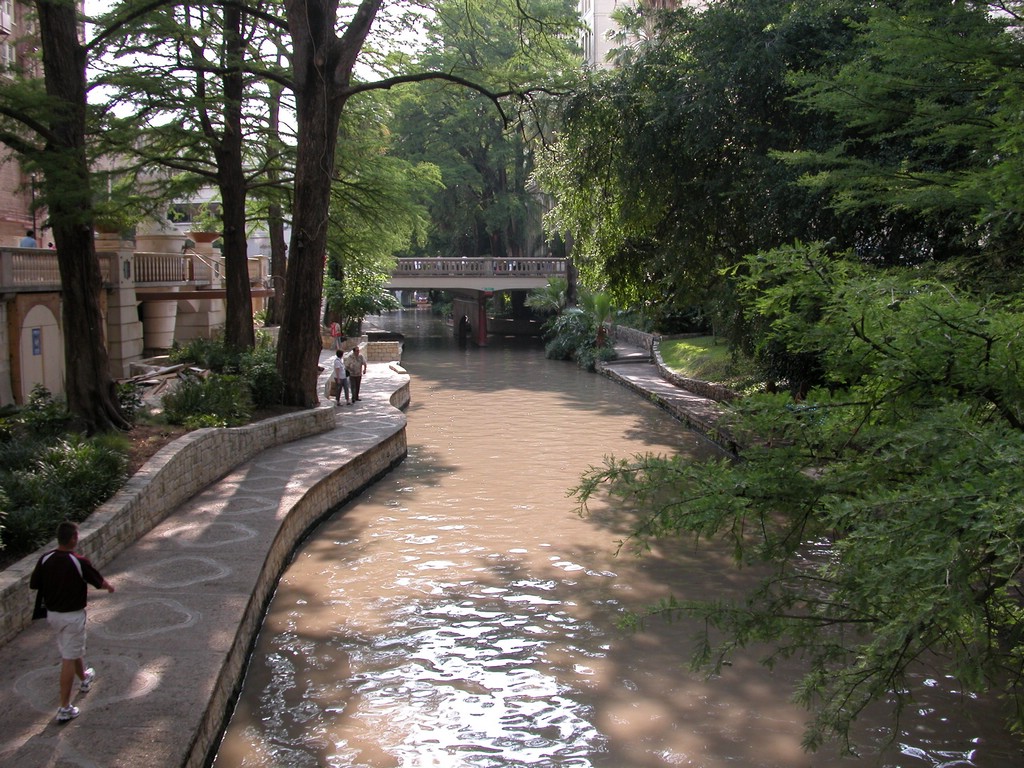 DSCN0711.JPG