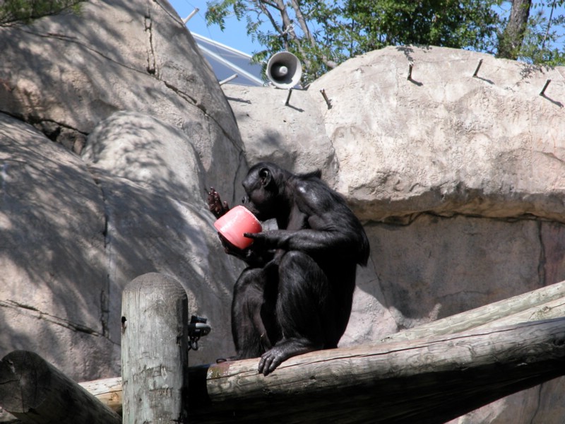 DSCN0717.JPG