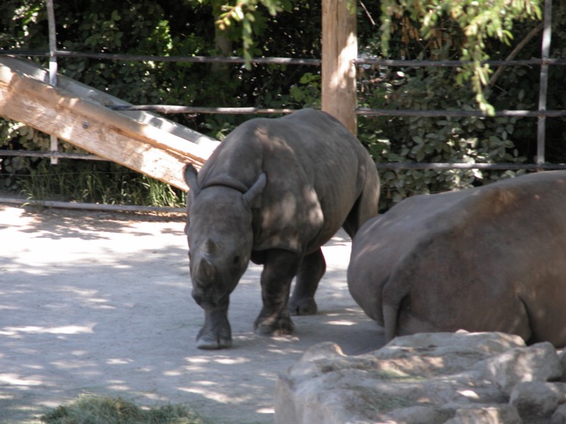 DSCN0722.JPG