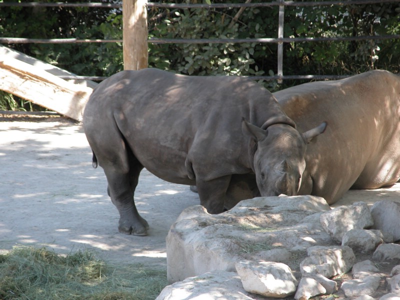DSCN0723.JPG