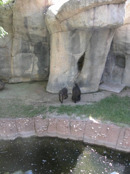 DSCN0724.JPG