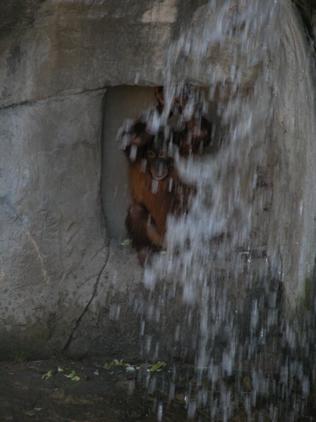 DSCN0726.JPG