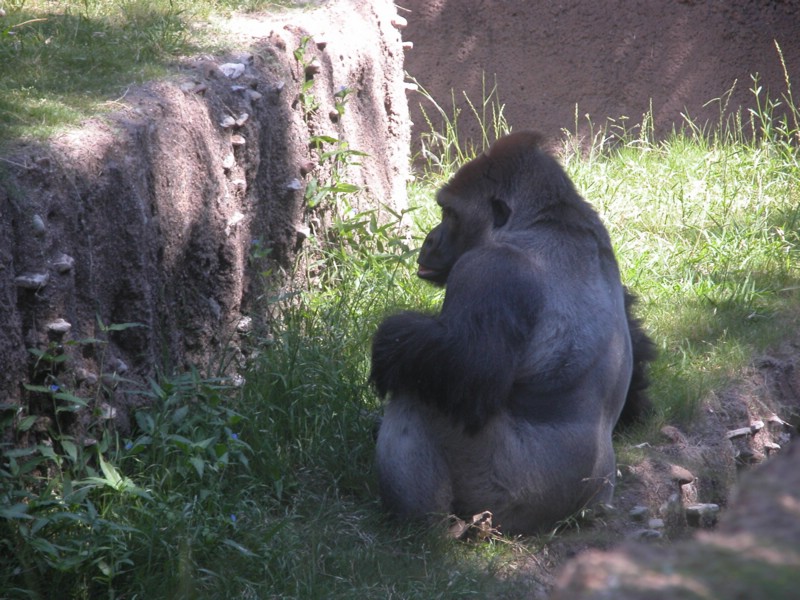 DSCN0730.JPG