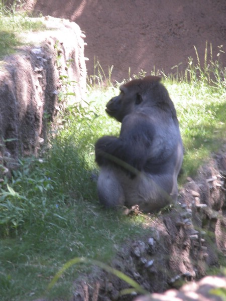 DSCN0731.JPG