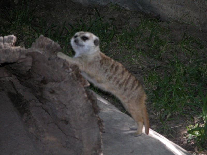 DSCN0734.JPG