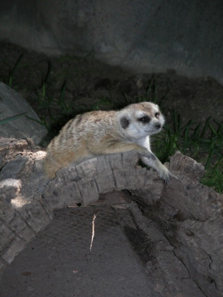 DSCN0737.JPG