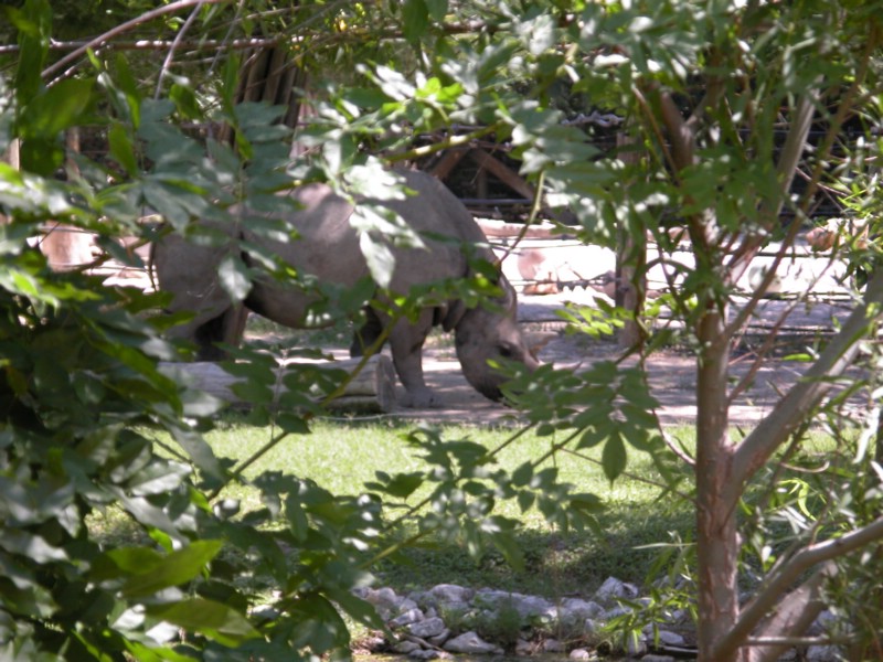 DSCN0745.JPG