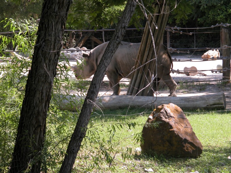 DSCN0746.JPG