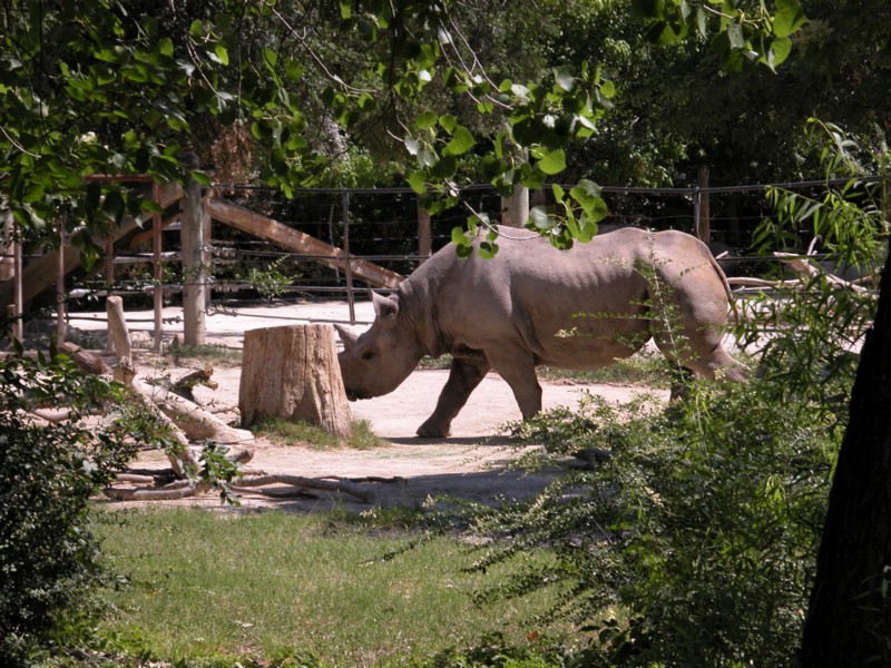 DSCN0747.JPG