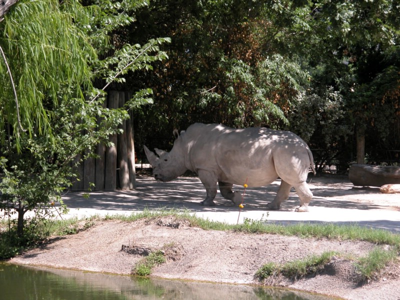 DSCN0748.JPG