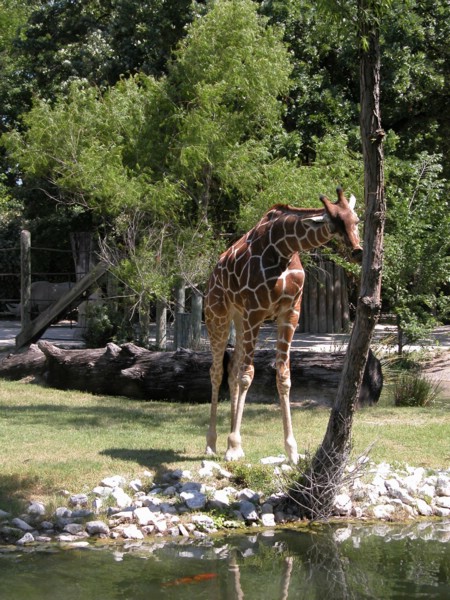DSCN0756.JPG