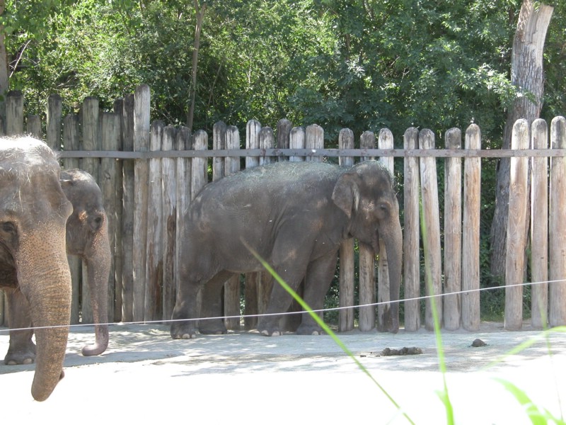 DSCN0760.JPG