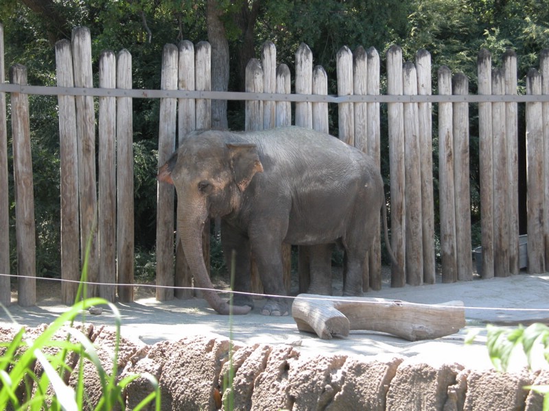 DSCN0761.JPG