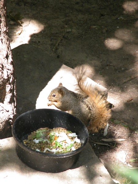 DSCN0771.JPG