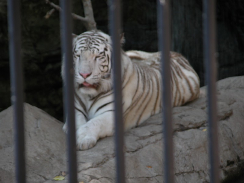 DSCN0773.JPG
