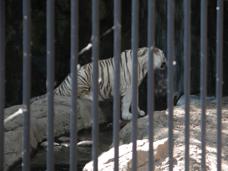 DSCN0774.JPG